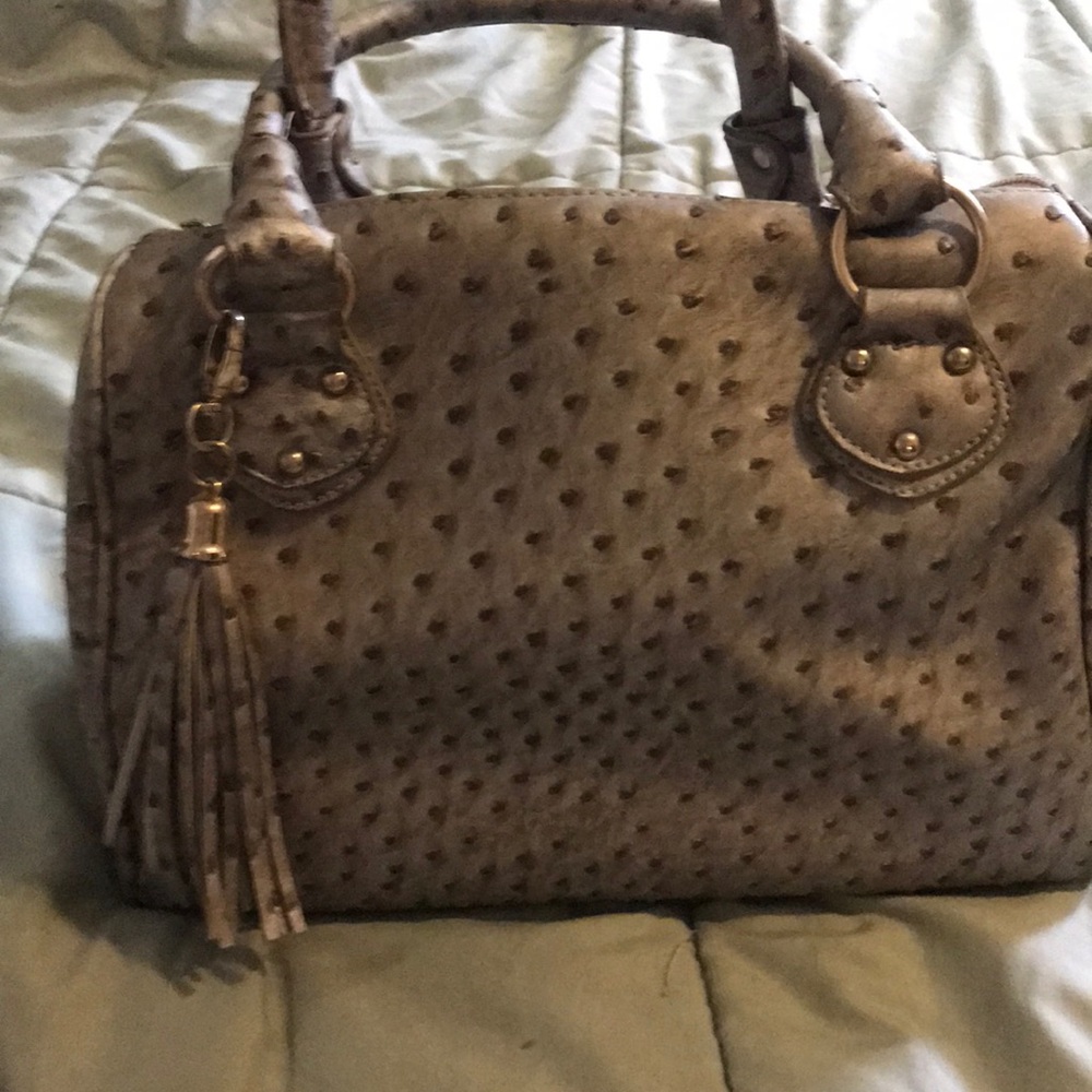 Grayish Sliver faux Ostrich Bag